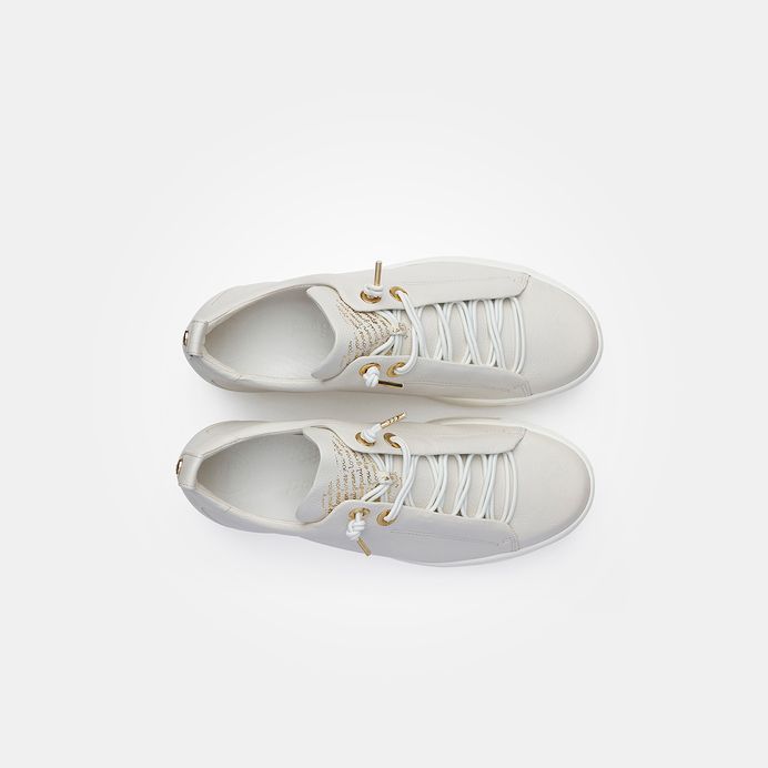 Paul Green 5017-068 Preisnachlass