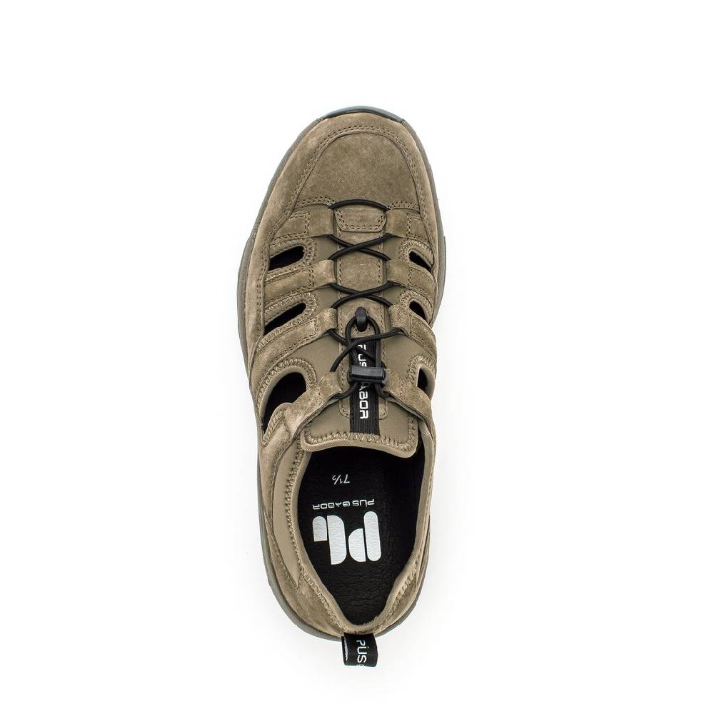 Pius Gabor Pius Gabor Sneaker low beige Exklusivangebot