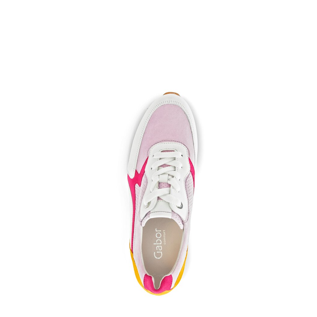 Pius Gabor Sneaker low multicolour zollfrei