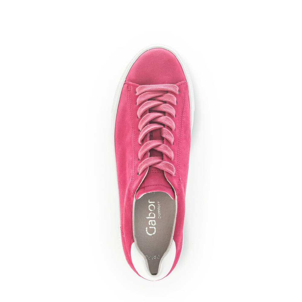 Pius Gabor Sneaker low pink 2025