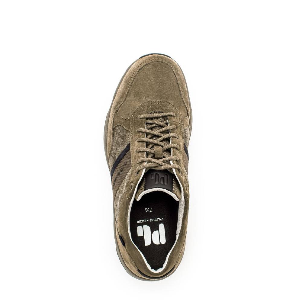 Pius Gabor Pius Gabor Sneaker low beige Zeitbegrenzte Promotion