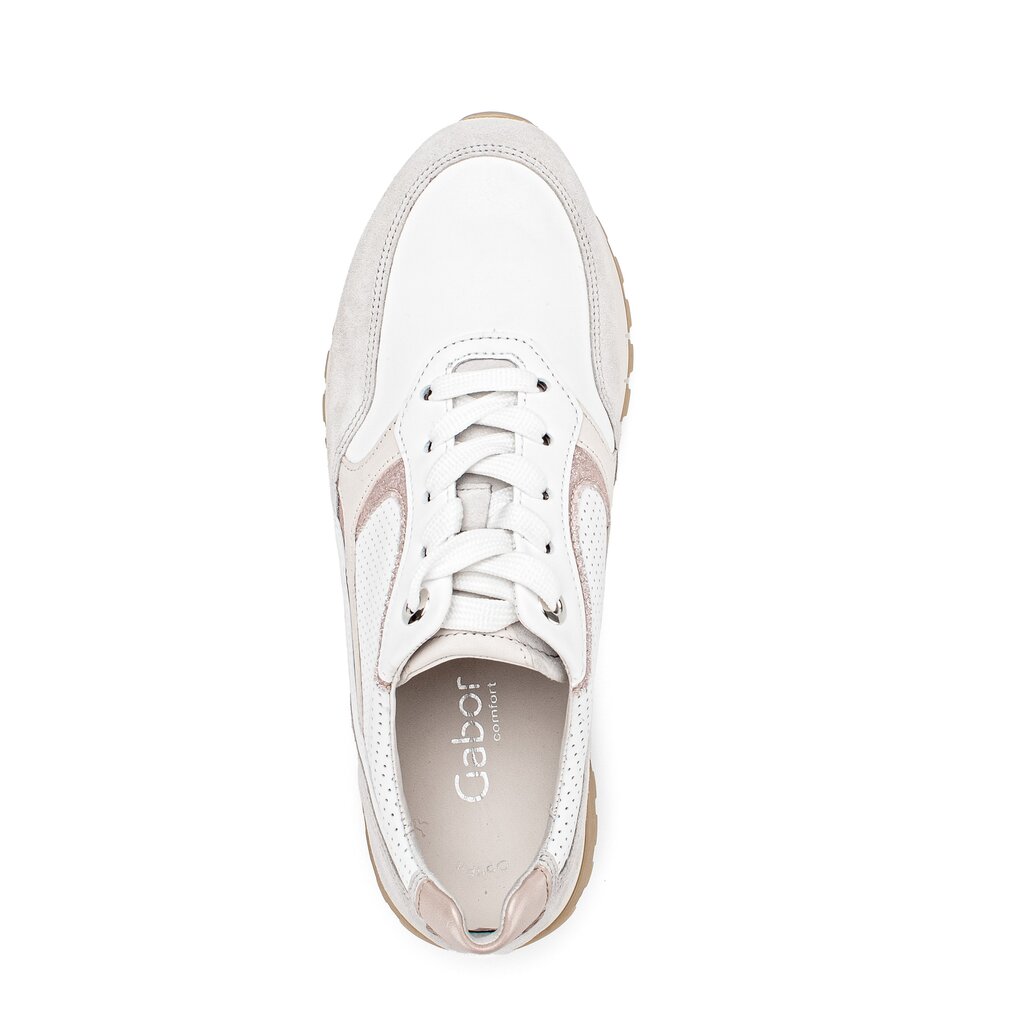 Pius Gabor Sneaker low multicolour Weihnachtsangebot
