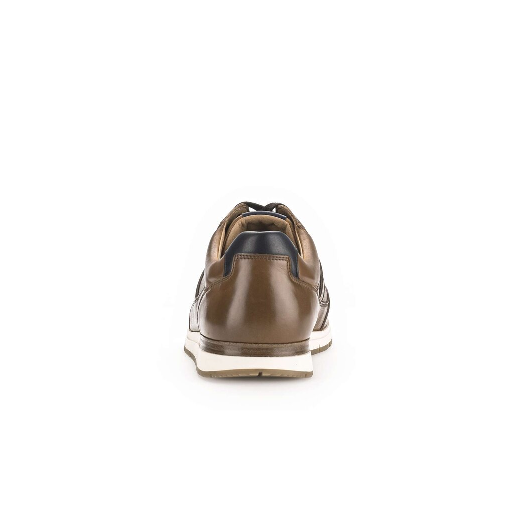 Pius Gabor Pius Gabor Sneaker low braun Super Sparpreis