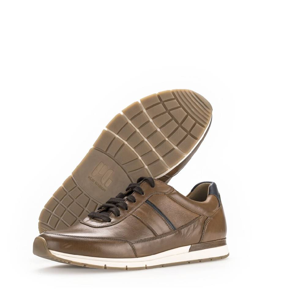 Pius Gabor Pius Gabor Sneaker low braun Super Sparpreis
