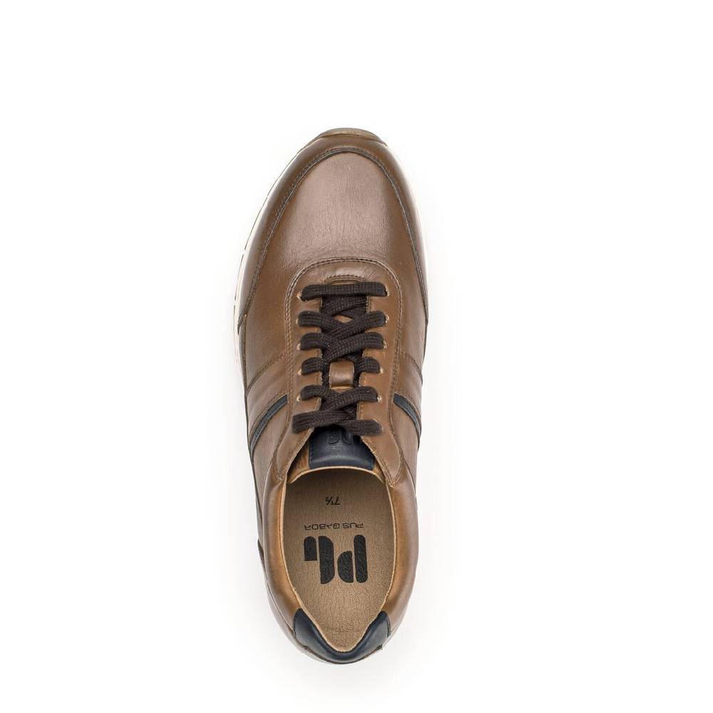 Pius Gabor Pius Gabor Sneaker low braun Super Sparpreis