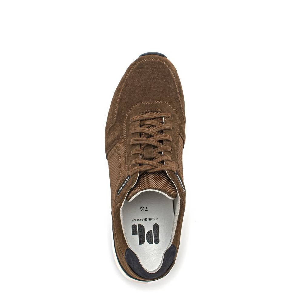 Pius Gabor Pius Gabor Sneaker low braun Letzte 3 Tage