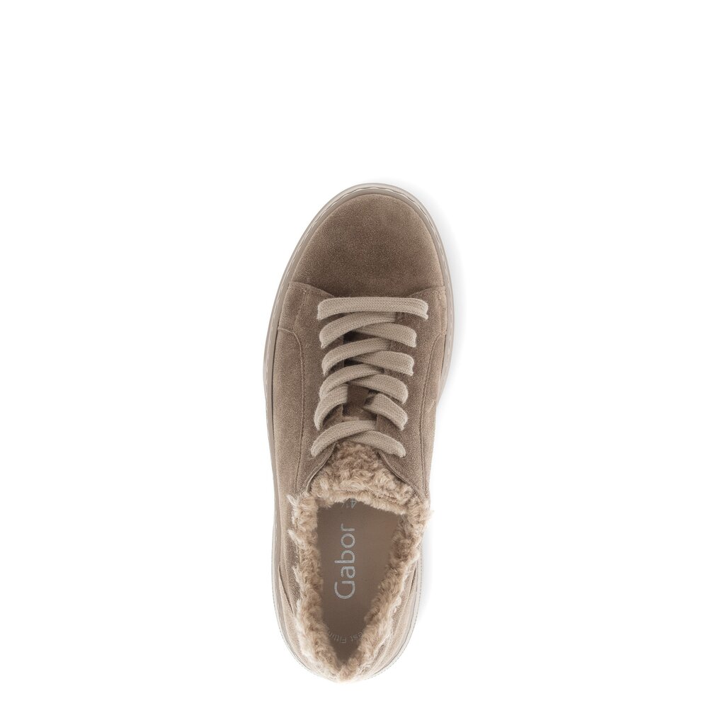 Pius Gabor Sneaker low braun Clearance-Verkauf