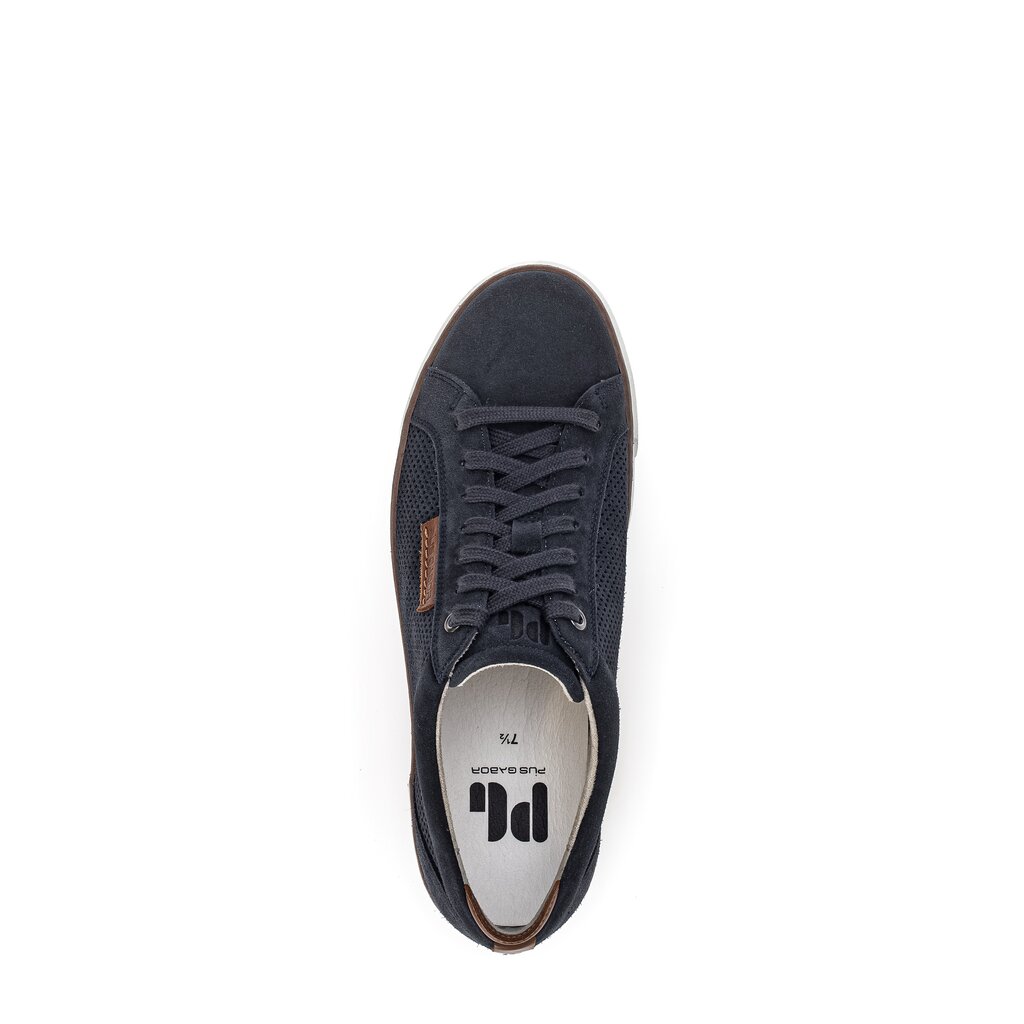 Pius Gabor Pius Gabor Sneaker low blau Günstig kaufen