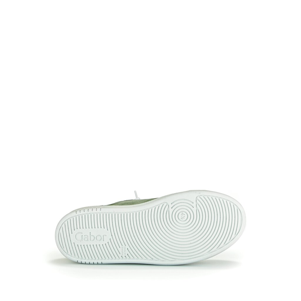 Pius Gabor Sneaker low grün VIP-Rabatte