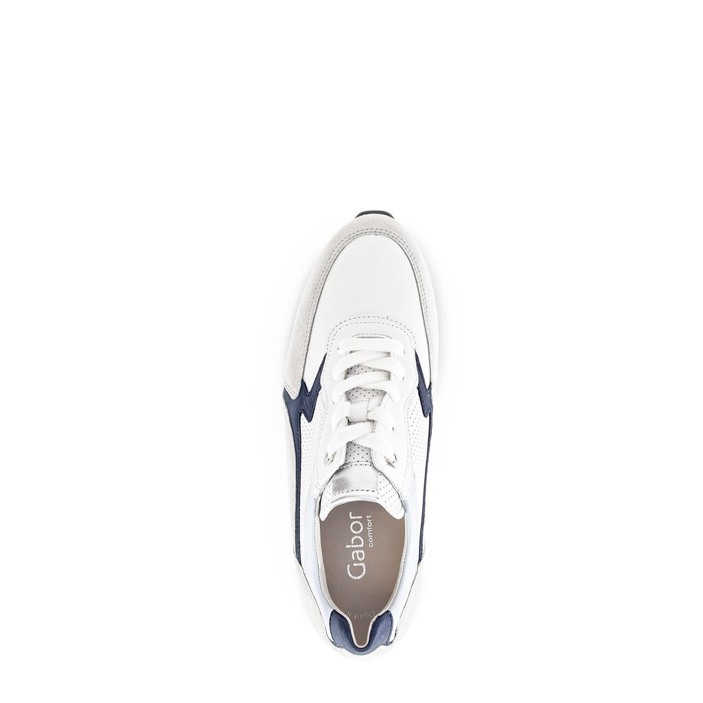 Pius Gabor Sneaker low multicolour Begrenzte Freigabe