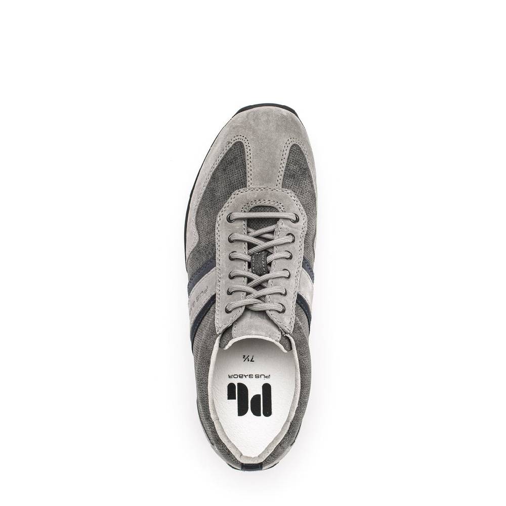 Pius Gabor Pius Gabor Sneaker low grau Kostenloser Versand international
