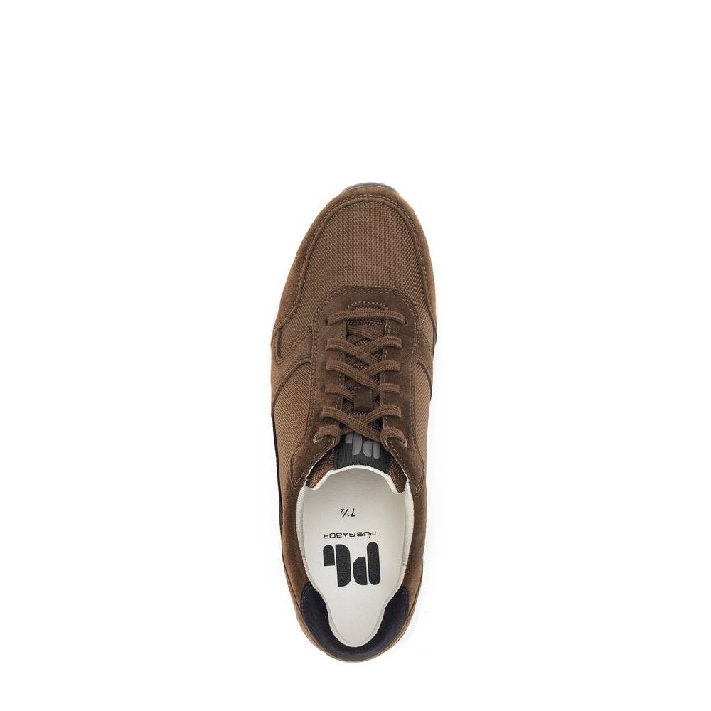 Pius Gabor Pius Gabor Sneaker low braun Fabrikverkauf