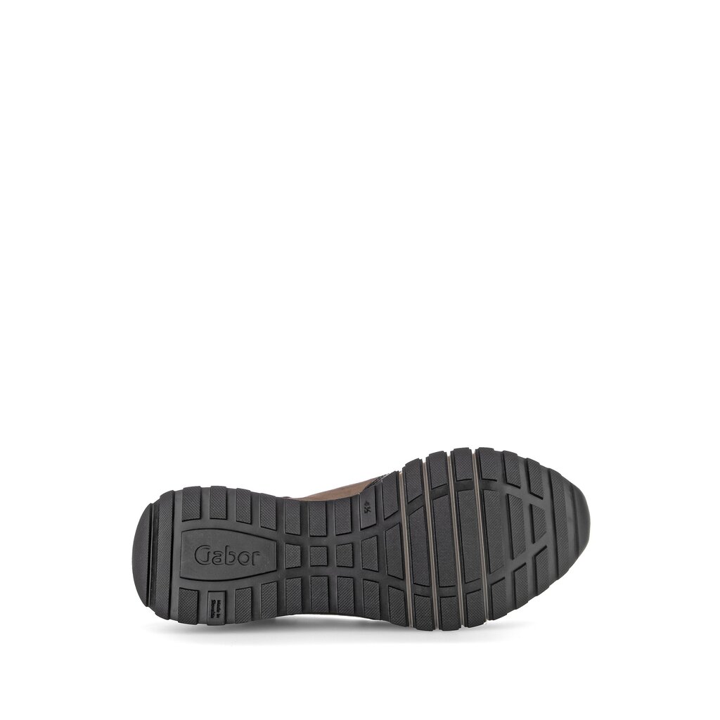Pius Gabor Sneaker low multicolour Versandkostenfrei