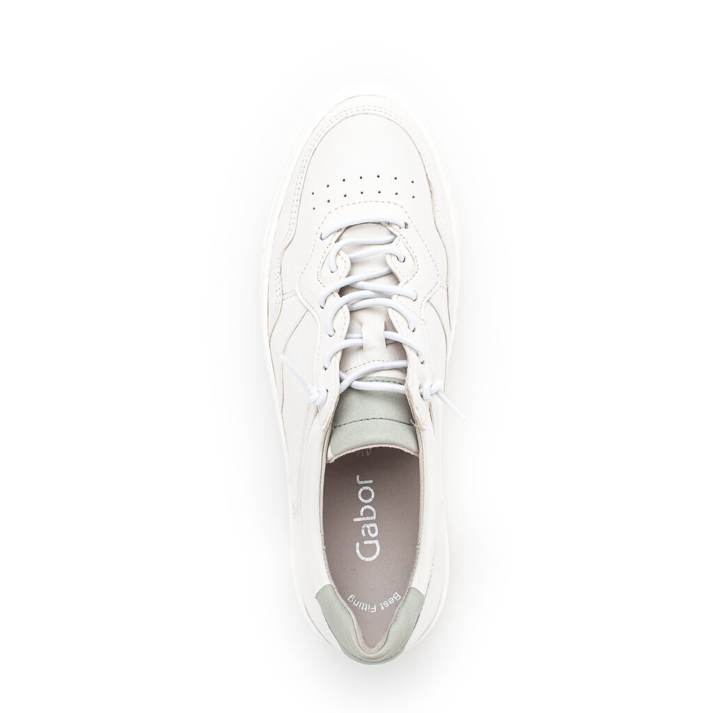 Pius Gabor Sneaker low creme Letzte 3 Tage