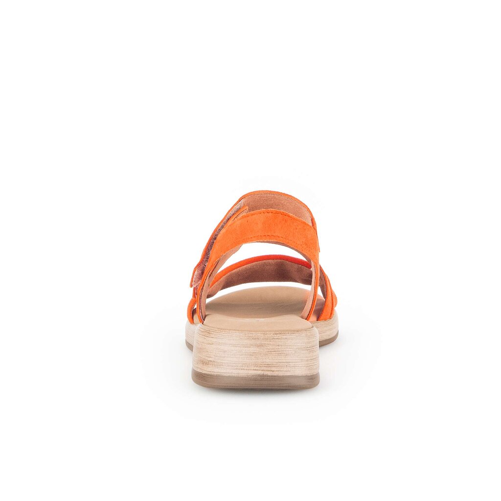 Pius Gabor Riemchensandale orange Kostenloser Versand international