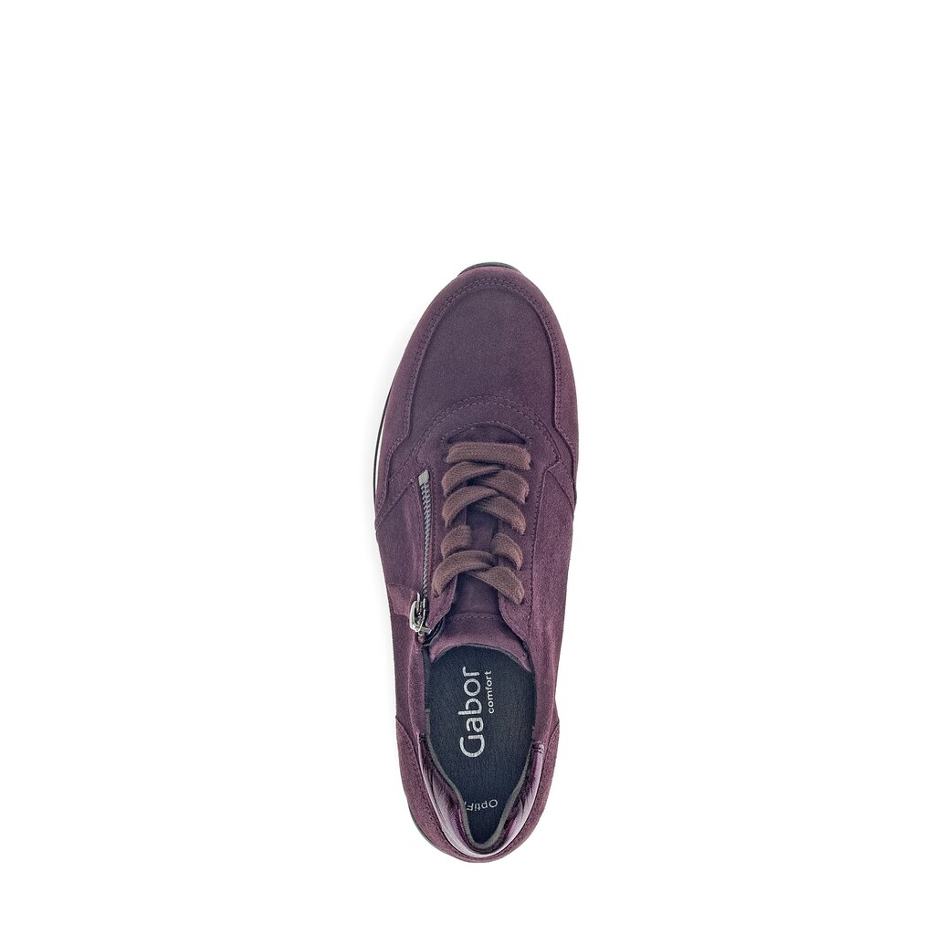 Pius Gabor Sneaker low lila Schlussverkauf