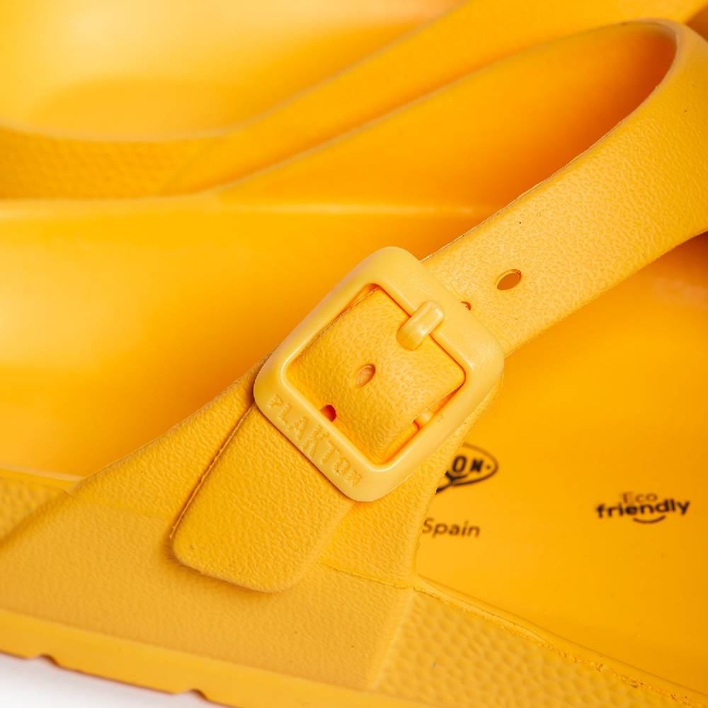 Plakton Wendy Mango Speichern exportieren