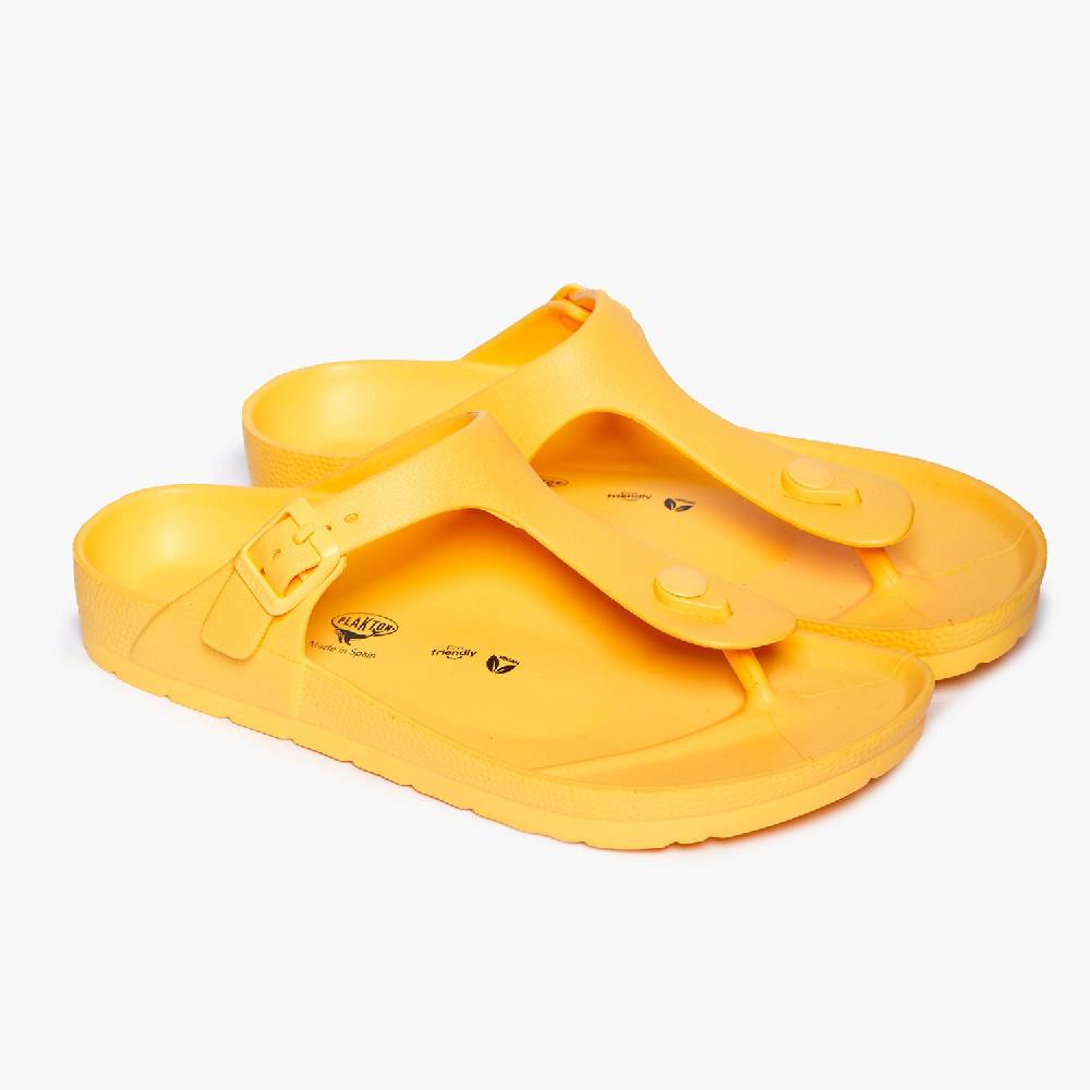 Plakton Wendy Mango Speichern exportieren