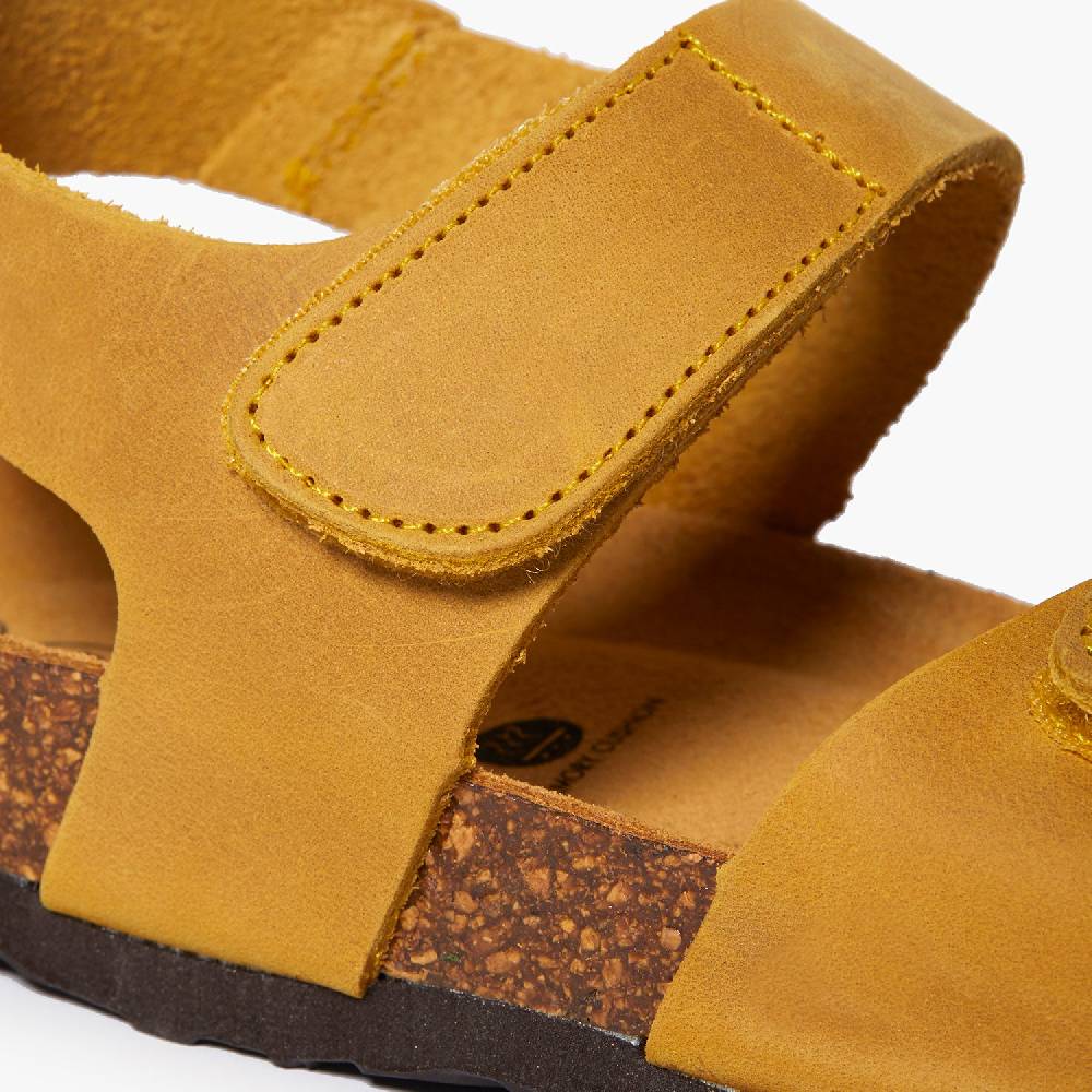 Plakton Partner Ocre Apure Blitzverkäufe