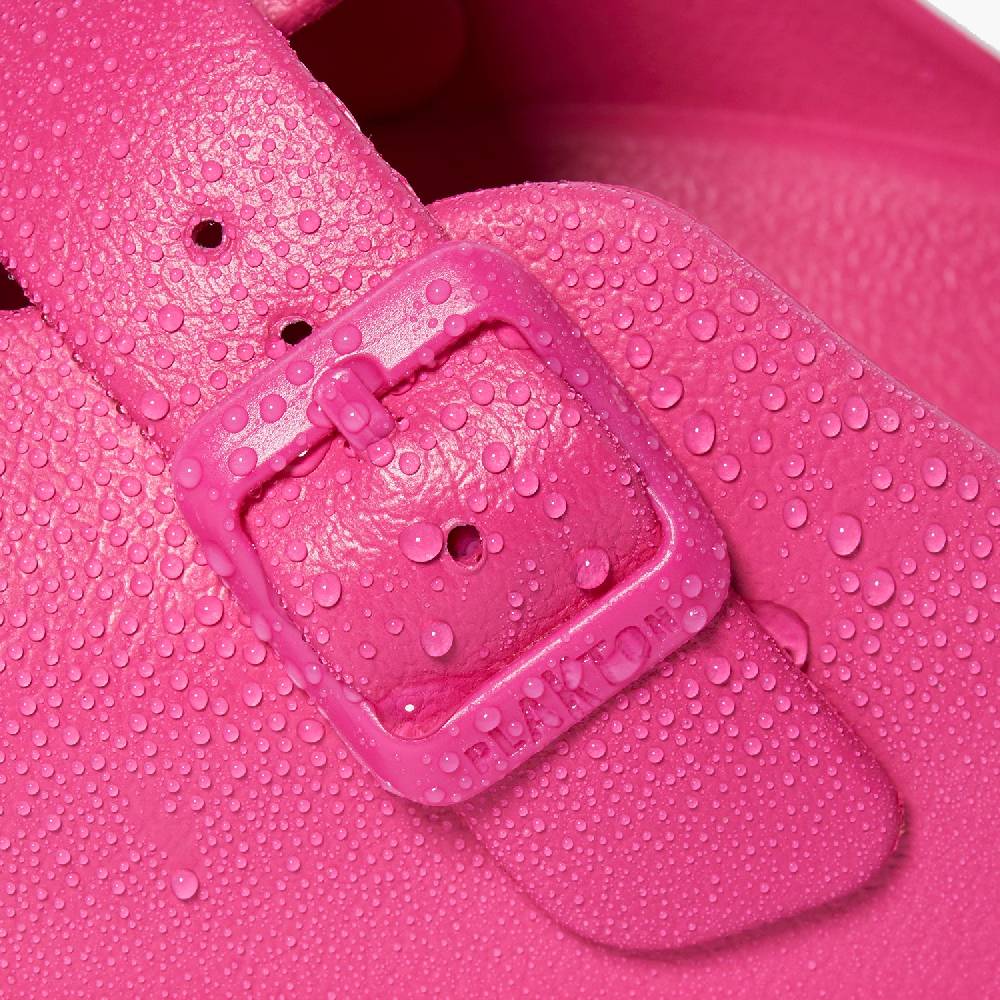 Plakton Winrar Fuxia Auslauf