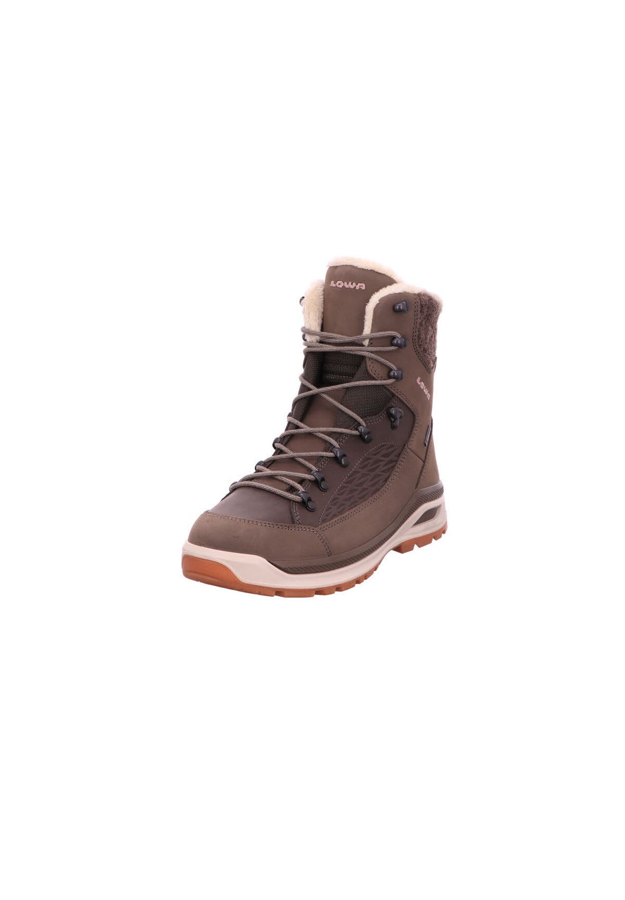 LOWA Wanderschuh RENEGADE EVO ICE GTX Ws Black Friday Preise