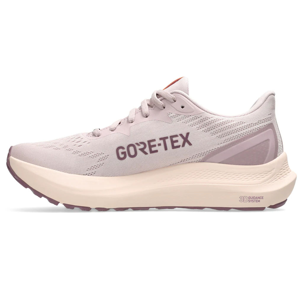 Asics Laufschuh »GT-2000 12 Gore-Tex« für mehr Stabilität wasserdicht auf Rechnung Große Rabatte